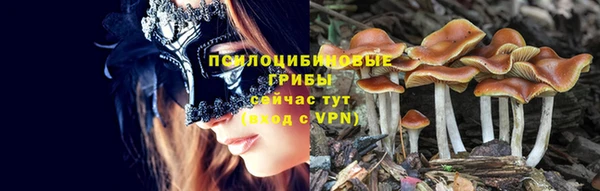 mix Новокубанск