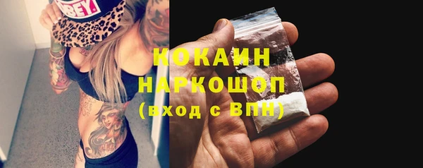 прущие грибы Абинск