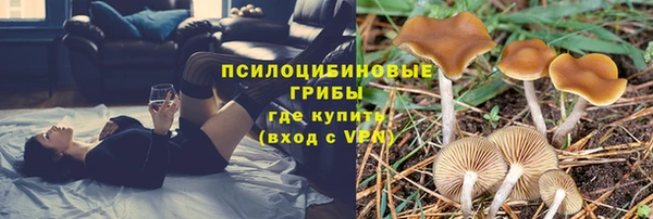 крисы Абдулино